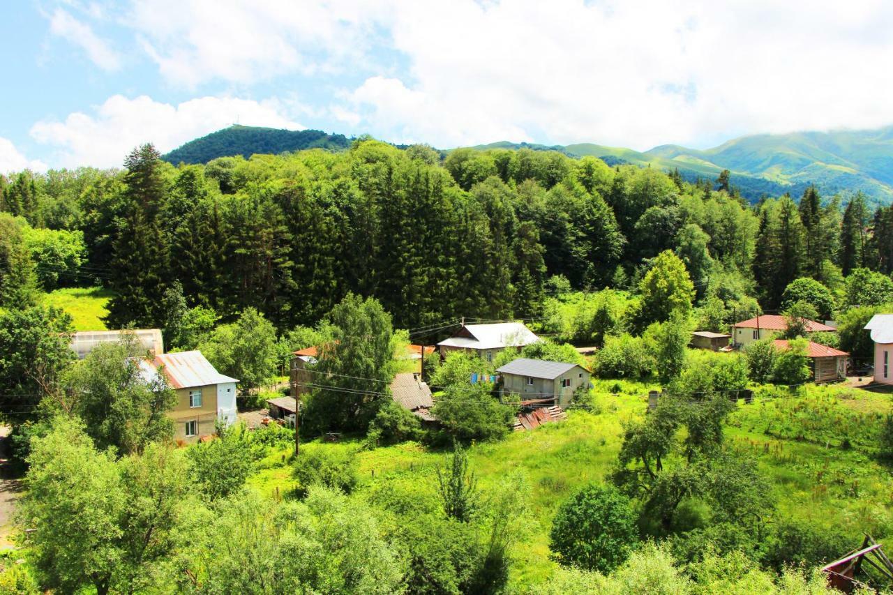 Hilltop Bakuriani Kültér fotó
